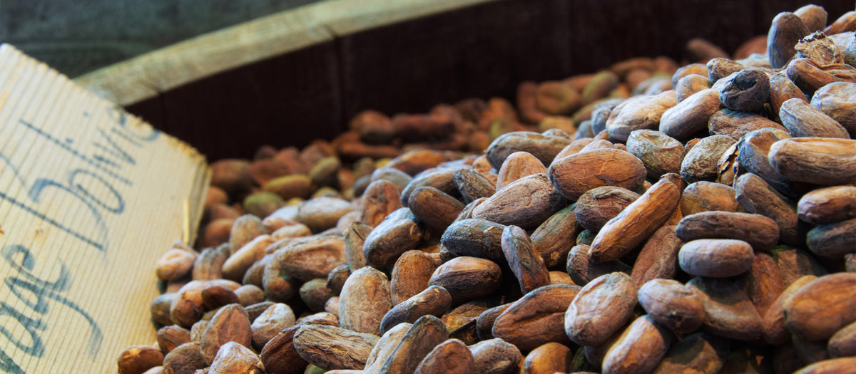Gros plan sur un tonneau de fèves de cacao dans l'atelier du chocolatier torréfacteur, Petits Carreaux de Paris