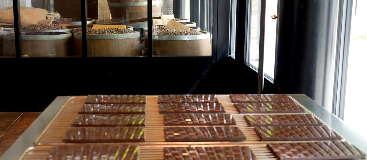 Tablettes de chocolat artisanal en cours de séchage sur plaque, tonneaux de fèves de cacao en arrière-plan, Petits Carreaux de Paris